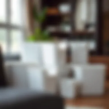 Versatile Storage Solutions Versatile containers for various uses