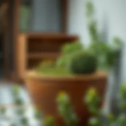 Elegant wooden planter harmonizing with garden greenery