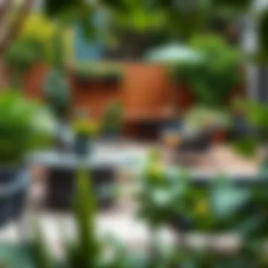 Lush garden with modern furniture