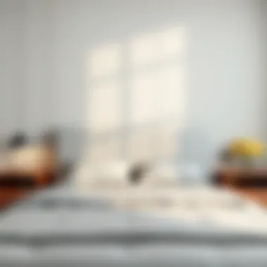 Contemporary bed headboard showcasing minimalist design