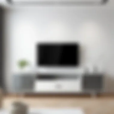 Minimalist decor featuring a white gray TV console