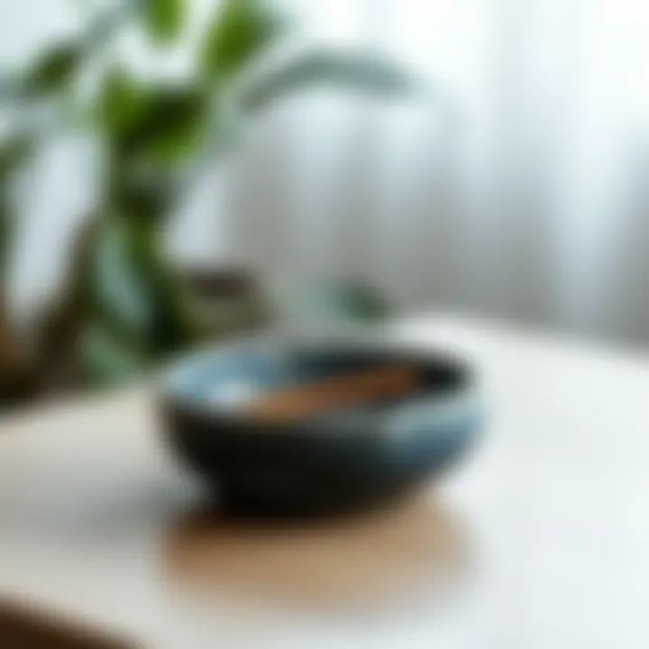 Contemporary ceramic ashtray showcasing modern aesthetics