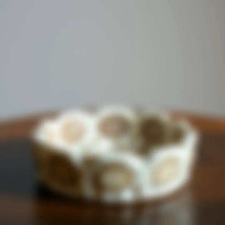 Elegant ceramic ashtray with intricate design