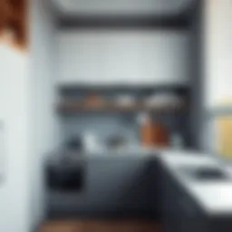 Stylish corner kitchen cabinet showcasing modern design