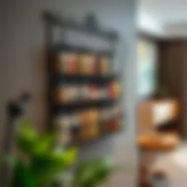 Elegant wall-mounted spice rack showcasing an array of spices