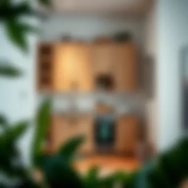 Efficient storage solutions in small spaces