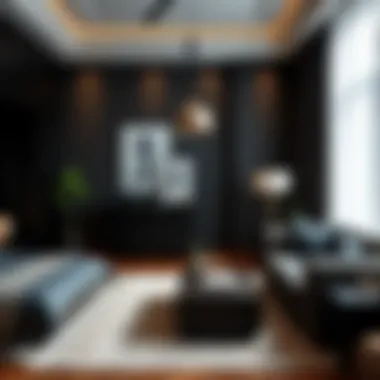 Elegant black furniture complementing a youth bedroom