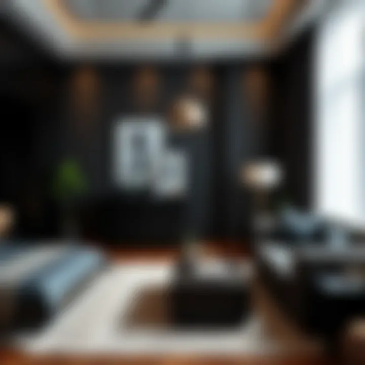 Elegant black furniture complementing a youth bedroom