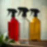 Versatile empty spray bottles for various uses