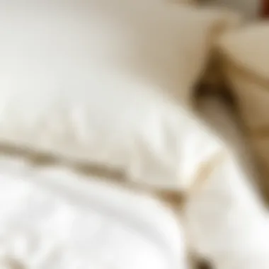 Quality Fabric of English Home Bedding Close-up of fabric quality of English Home bedding