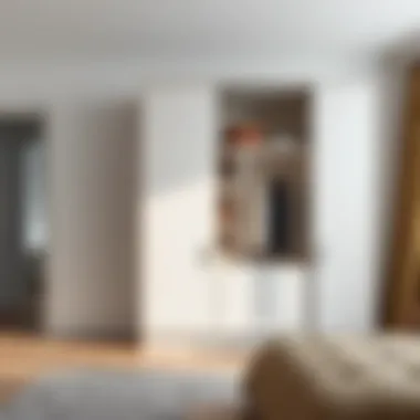 Minimalist wardrobe design showcasing simplicity and elegance