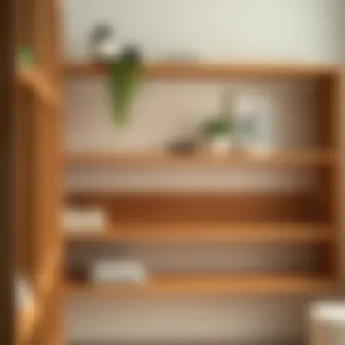 Stylish Wooden Shelves Stylish wooden shelves enhancing the aesthetic of a dressing area