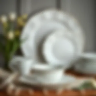 Variety of Grande porcelain dinnerware styles displayed