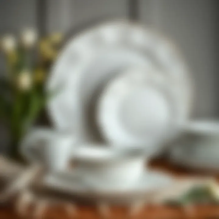 Variety of Grande porcelain dinnerware styles displayed