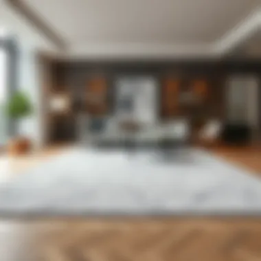 Elegant gray rug in a modern living room setting