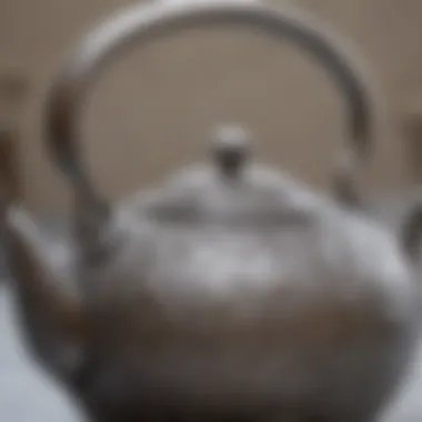 Close-up of a high-quality stainless steel teapot with intricate design