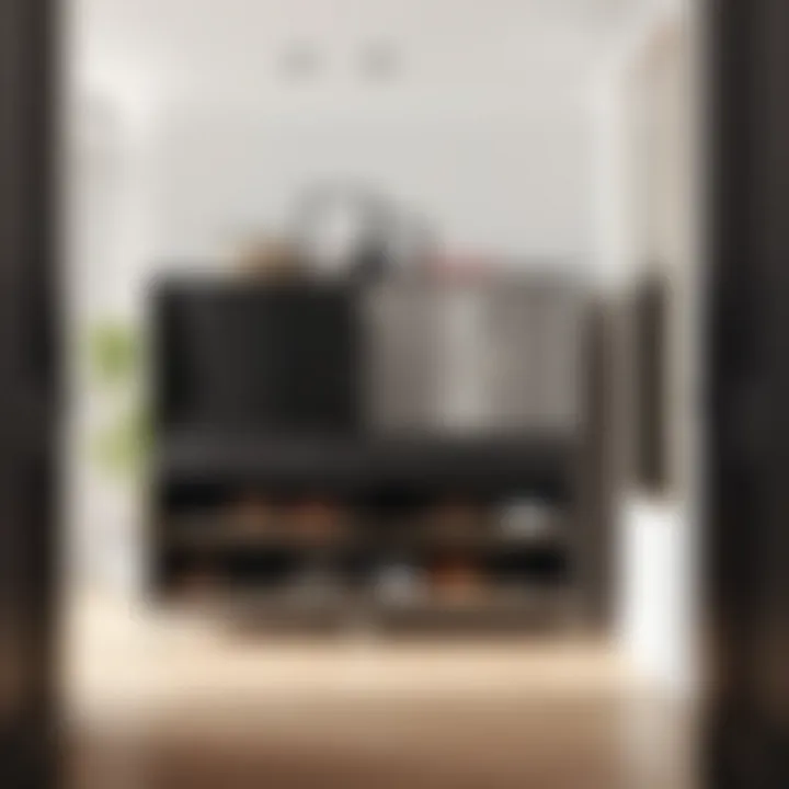 Elegant Shoe Storage for Modern Interiors Elegant shoe storage solution fitting seamlessly in a modern interior space