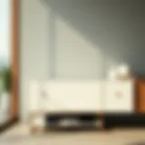 Contemporary shoe rack design showcasing sleek lines and minimalistic aesthetics