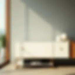 Contemporary shoe rack design showcasing sleek lines and minimalistic aesthetics