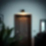 Elegant door top sconce illuminating a modern interior