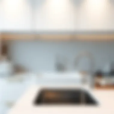 Sleek modern kitchen sink design