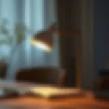 Elegant design of a clip-on reading lamp