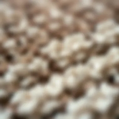 Close-up of the texture of a Merinos non-slip rug