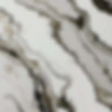 Close-up of marble texture showcasing uniqueness