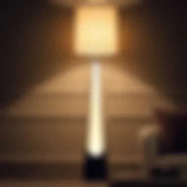 Stylish Floor Lamp with Unique Design Stylish floor lamp showcasing unique design elements