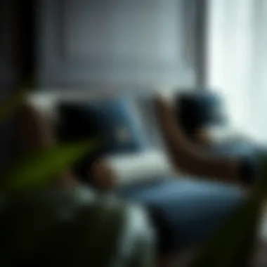 A Touch of Luxury: Novussi Chair Cushions Luxurious seating with novussi chair cushions