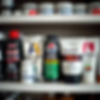 A selection of well-known oil paint brands on a shelf