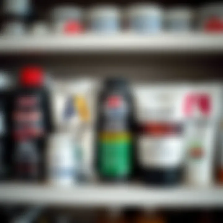 A selection of well-known oil paint brands on a shelf