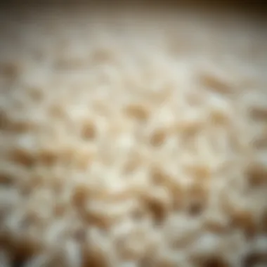 Close-up of textured plush carpet fibers