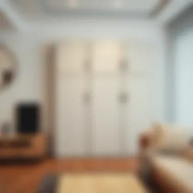 Stylish Integration of Plastic Cabinets in Home Decor Elegant plastic storage cabinet in a modern living room