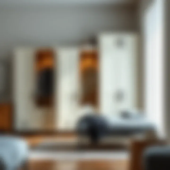 Diverse types of portable wardrobes showcasing functionality