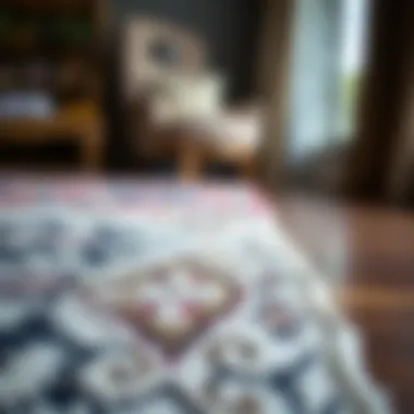 Showcasing Texture and Quality Close-up of rug material showcasing texture and quality