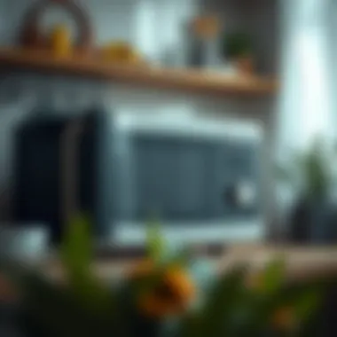 Visual representation of safe microwave usage