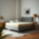 Comfortable second-hand bed base displaying its quality