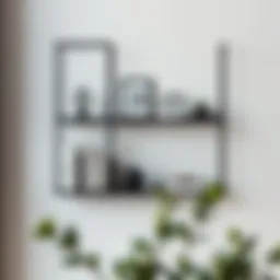 Elegant black wall shelf showcasing books and decor