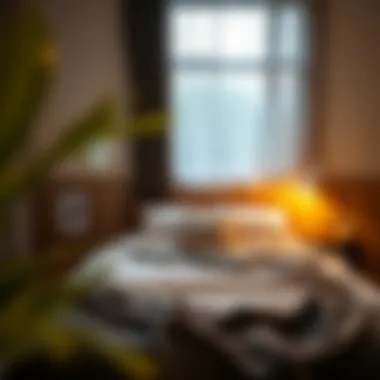 Functional Bed Frame in Cozy Setting Stylish and functional bed frame in a cozy bedroom setting