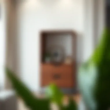 Functional Two-Drawer Storage Functional two-drawer storage solution in a contemporary space