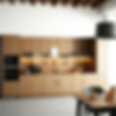 Functional Design of Long Kitchen Cabinets Functional storage solutions in a long kitchen cabinet