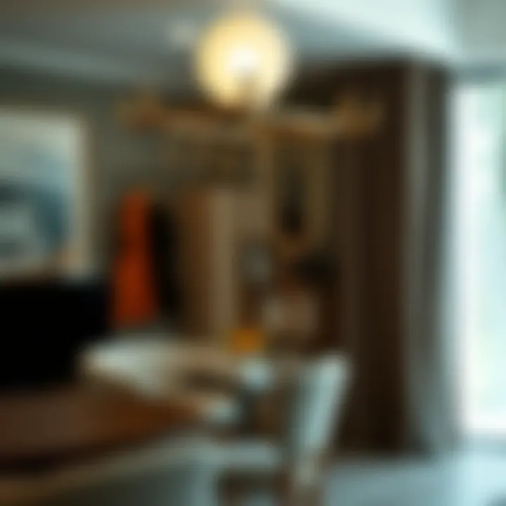 Versatile usage of multi-hook hanging apparatus in various settings