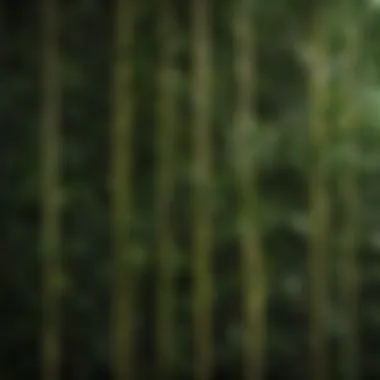 Close-up of lush artificial bamboo leaves