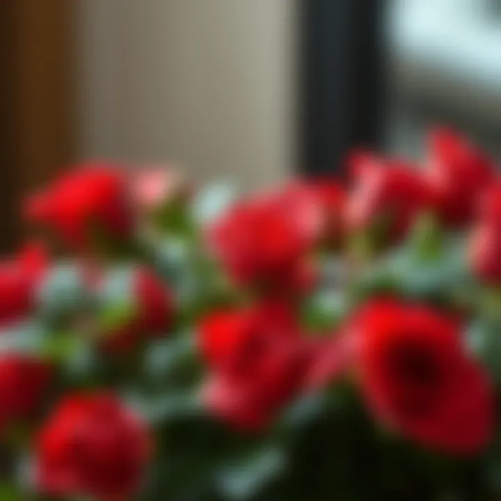 Close-up of vibrant red artificial roses surrounded by greenery
