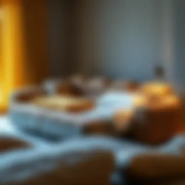 Functional teddy sofa transforming into bed